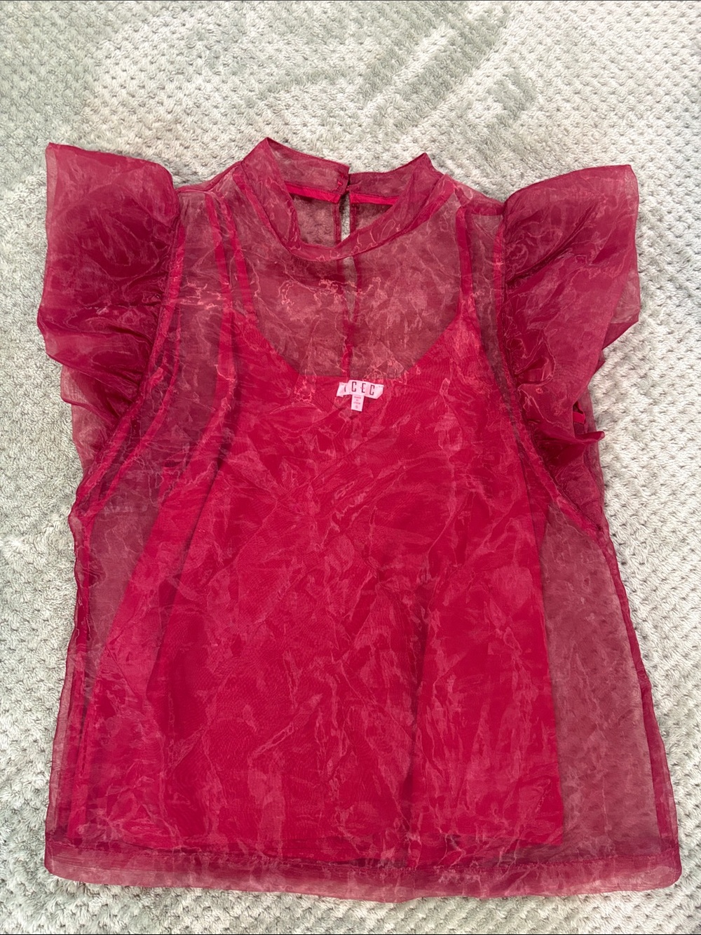 TCEC Sheer Ruffle Top